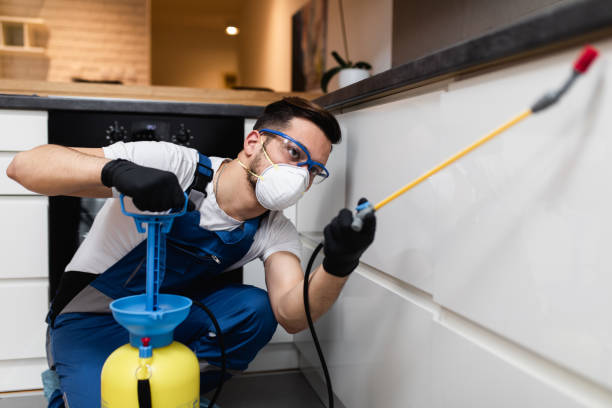 Best Pest Removal Services  in Pocahontas, IA