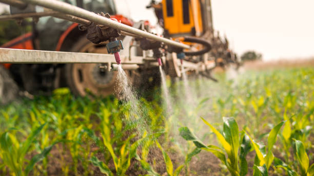 Best Pest Inspection Near Me  in Pocahontas, IA